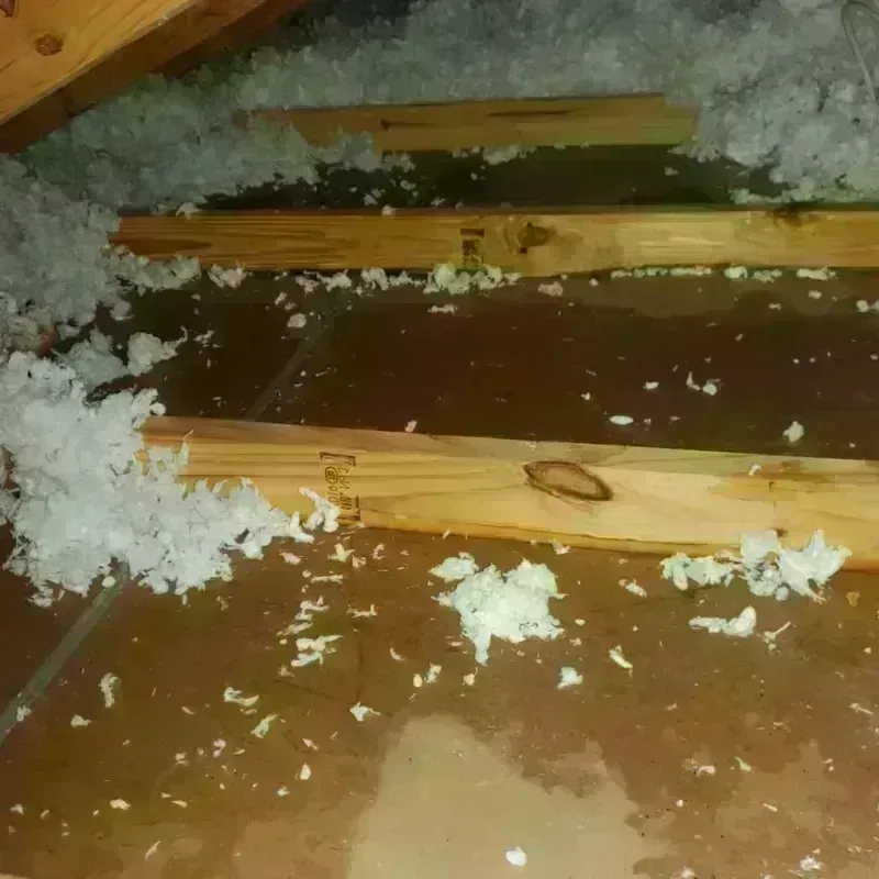 Attic Water Damage in Willow Springs, IL