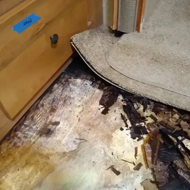 Wood Floor Water Damage in Willow Springs, IL